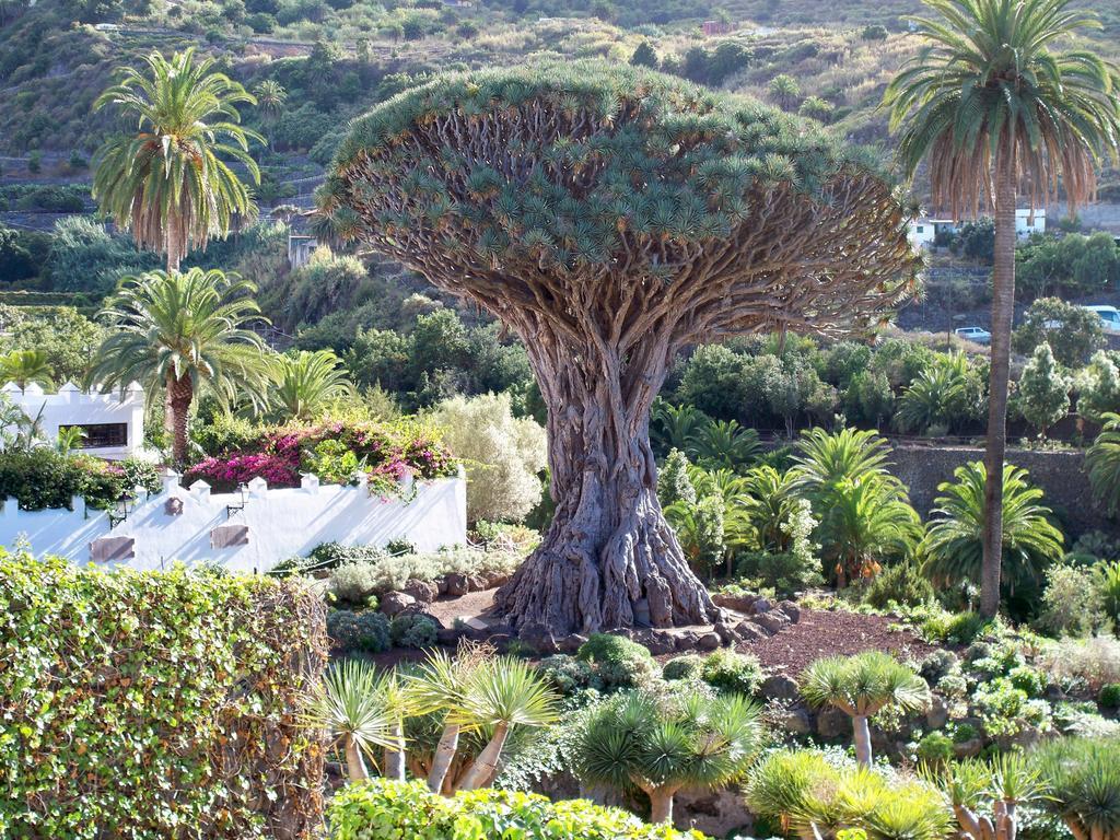 إيكود ذي لوس فينوس Casa Rural La Furnia المظهر الخارجي الصورة